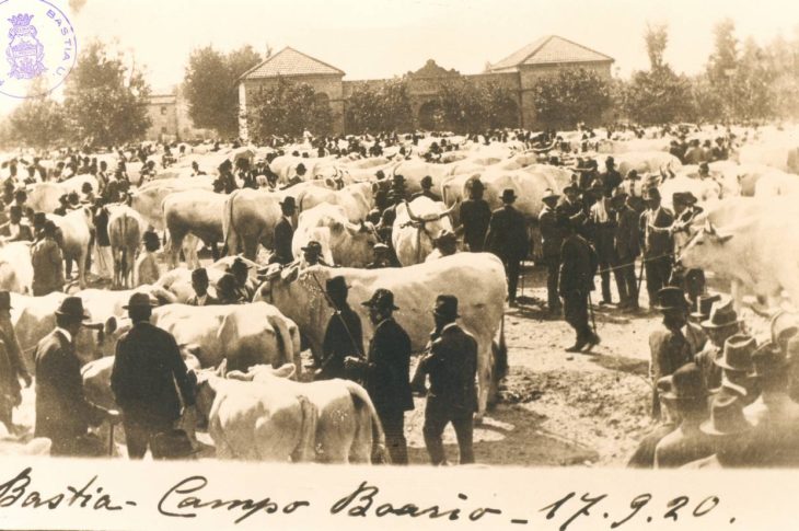 PIAZZA DEL MERCATO E MATTATOIO 2