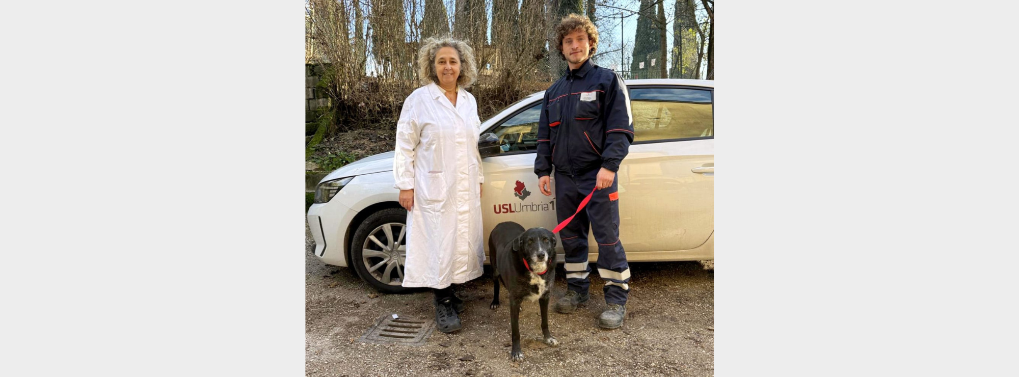 animali e botti di capodanno: i consigli del servizi veterinari