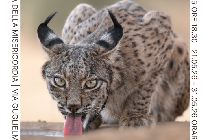 Fauna, la mostra fotografica